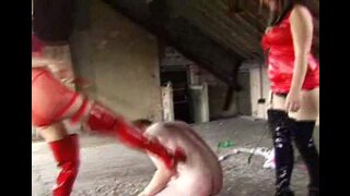 Elegant dommes punished their barn man