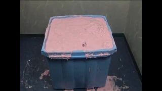 sealed in a tub of plaster