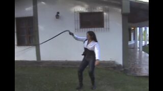 Whipping torture to a tied man in the tree